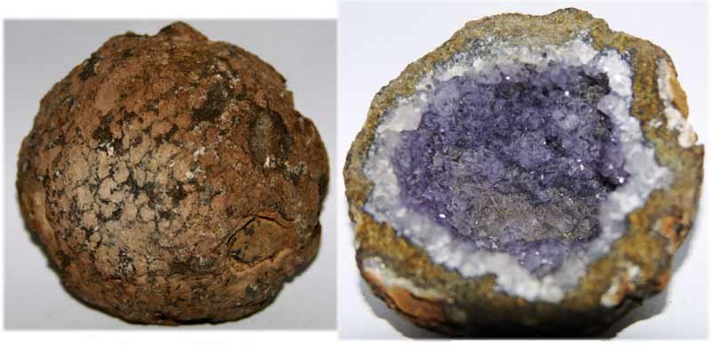 Amethyst geode shown from outside and cut open to reveal purple crystals