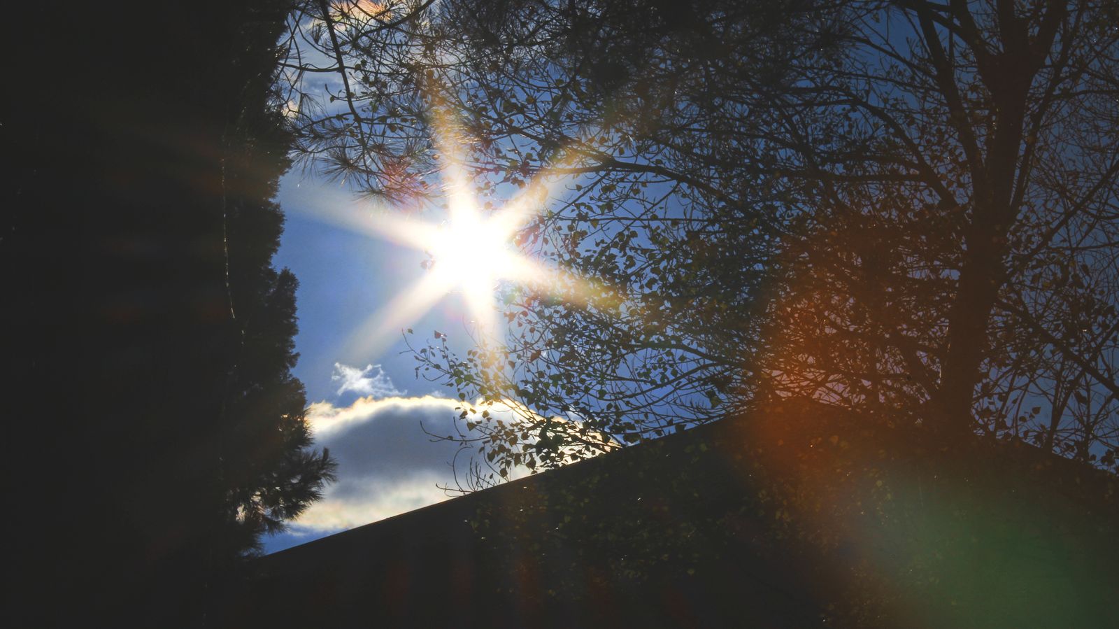 Bright sunburst through trees